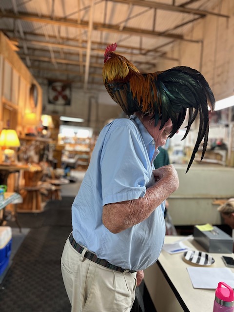 RoosterGuestr